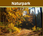Naturpark Steinwald e. V.