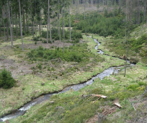 FFHGebiet Naturpark Steinwald