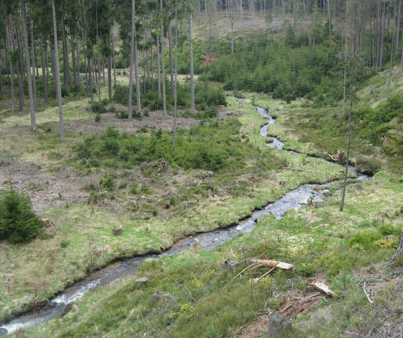 FFH-Gebiet – Naturpark Steinwald