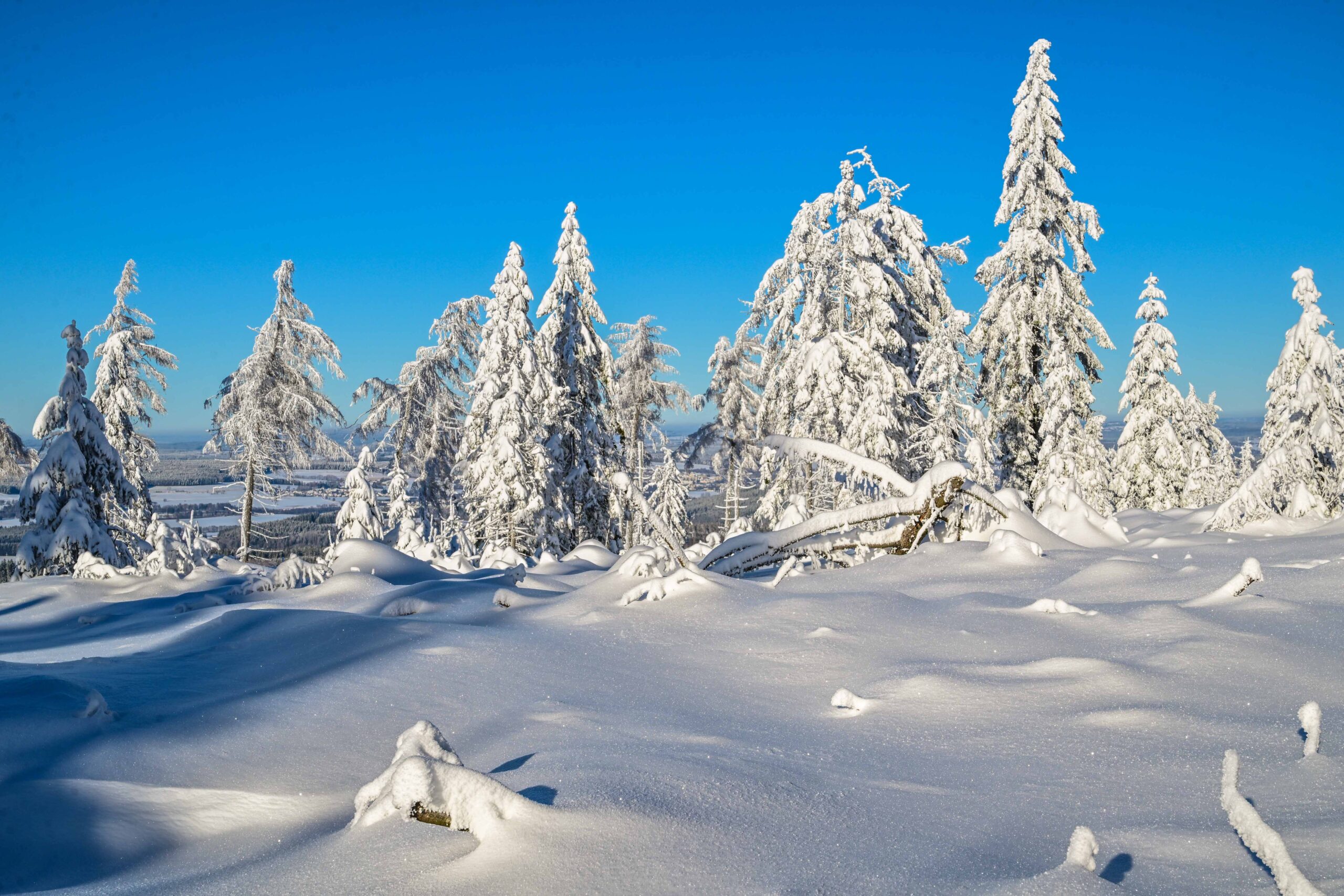 Traumwinterlandschaft