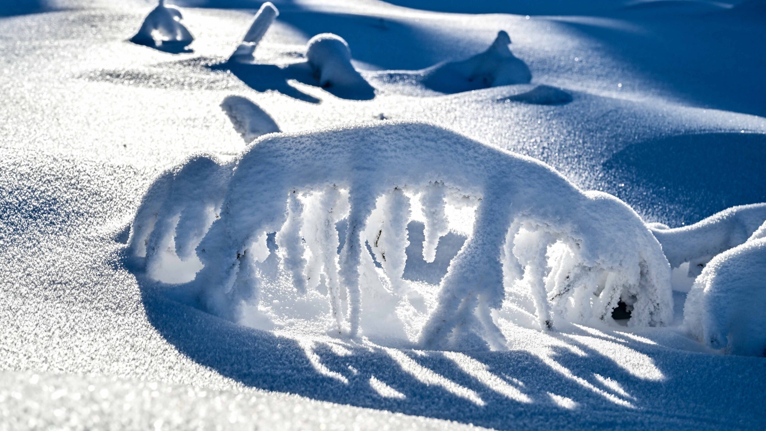 Fotomotive im Steinwald